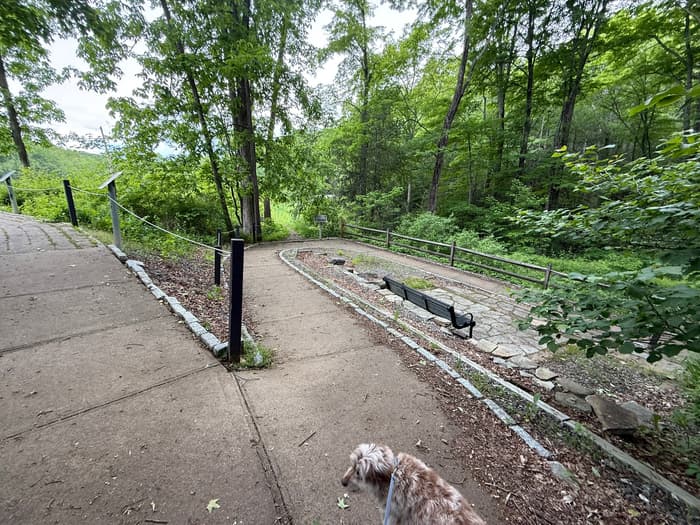 walking a dog on the Braille Trail (Credit: Emily Wilson)