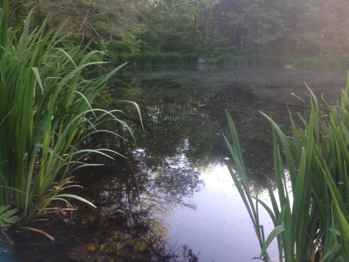 (Credit: Kim Bradley)