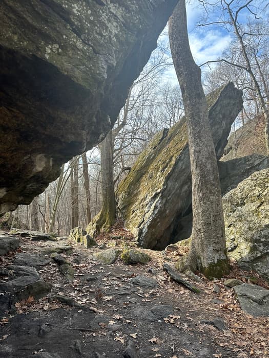 Samp Mortar Open Space