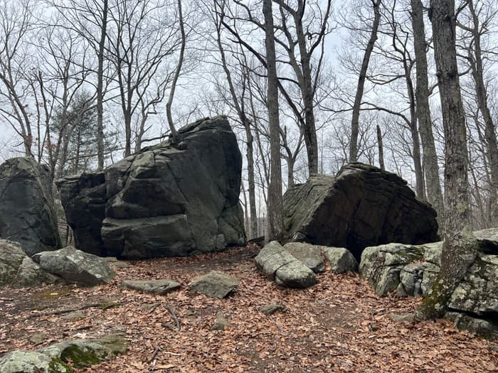 Gay City State Park (Credit: Emily Wilson)