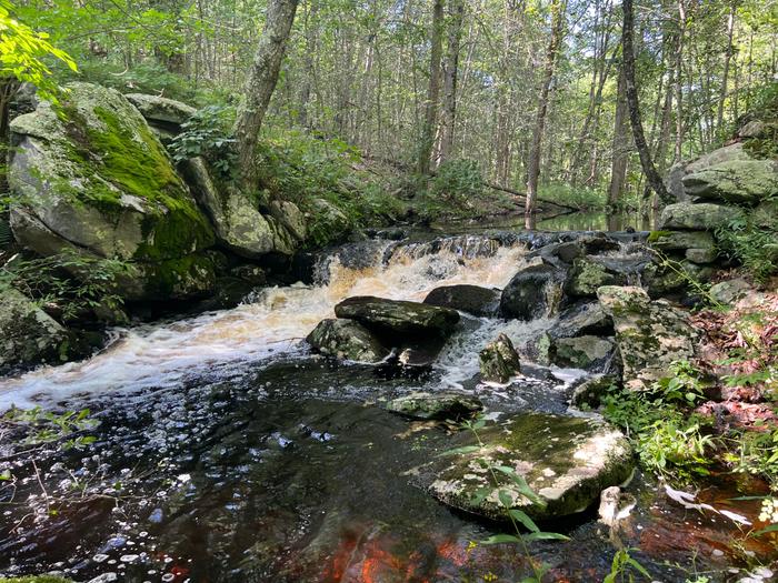 (Credit: Emily Wilson)