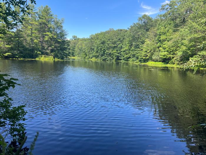 (Credit: Emily Wilson)