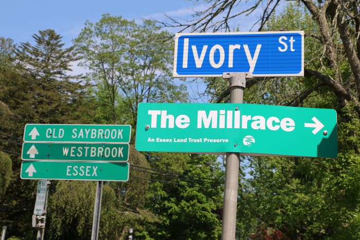 Ivory St. (Credit: S. McCoid)