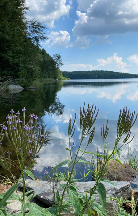 Lake Chamberlain (Credit: RWA)