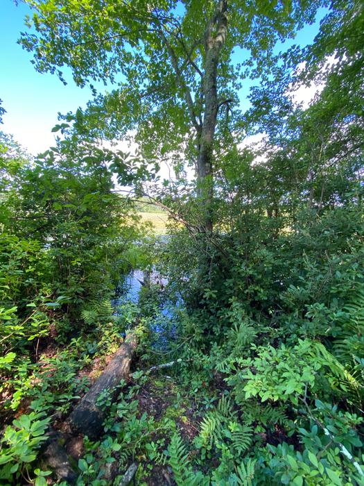William Jezek Preserve