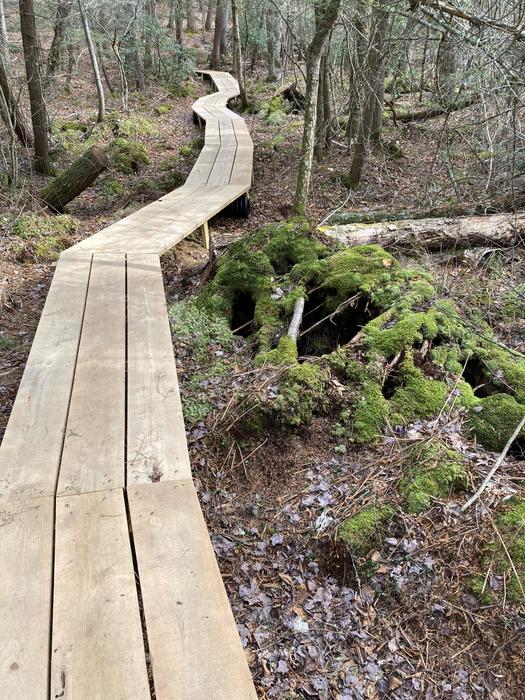 John Brown to Five Points Trail System