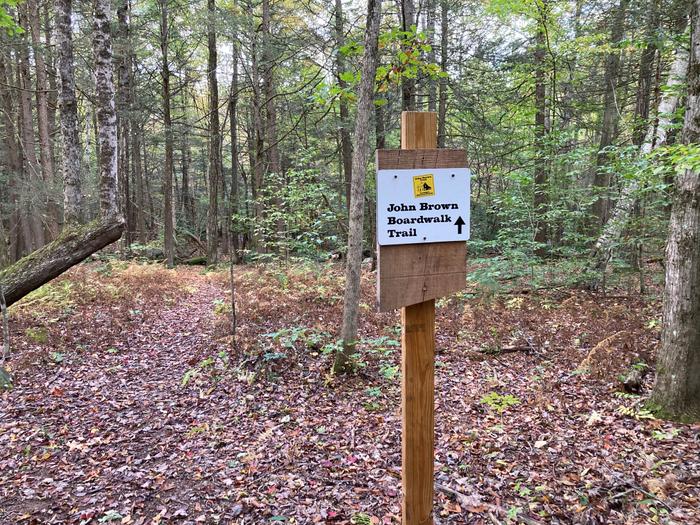 (Credit: Adelheid Koepfer)