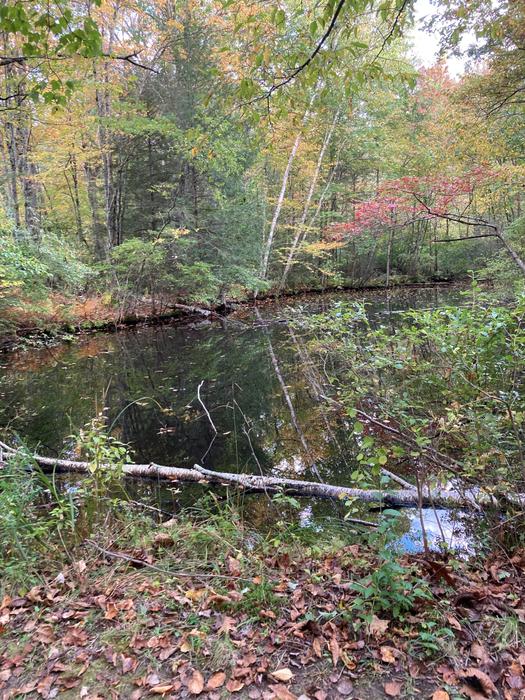 (Credit: Adelheid Koepfer)