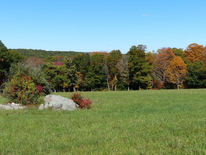 Upper hayfield in the fall.