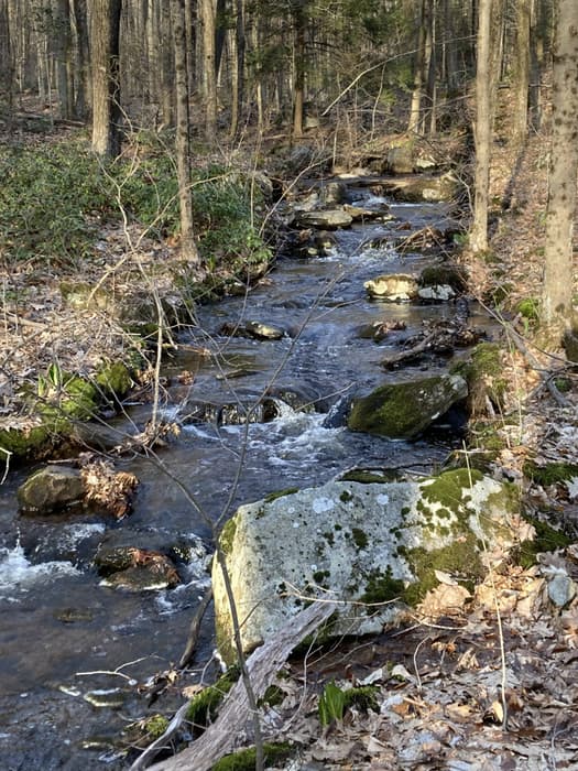crossing over Kimballs Brook (Credit: Linda Anderson)