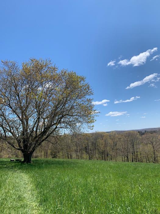 Knowlton Hill Preserve