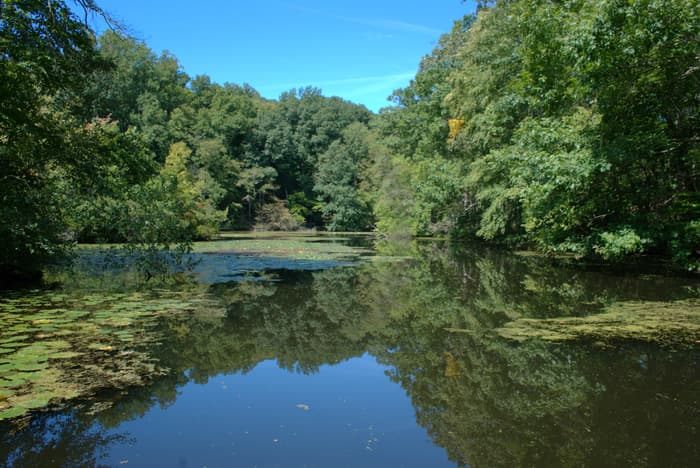 Greenwich Audubon Center