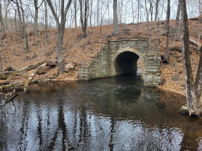 Larkin Trail passing over Eightmile Brook (Credit: Nathan Hale)