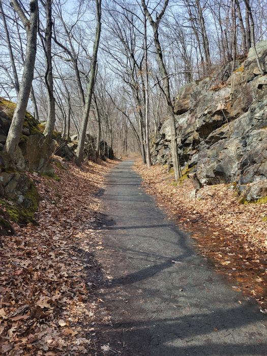 Larkin Trail through Whittemore Glen State Park (Credit: Nathan Hale)