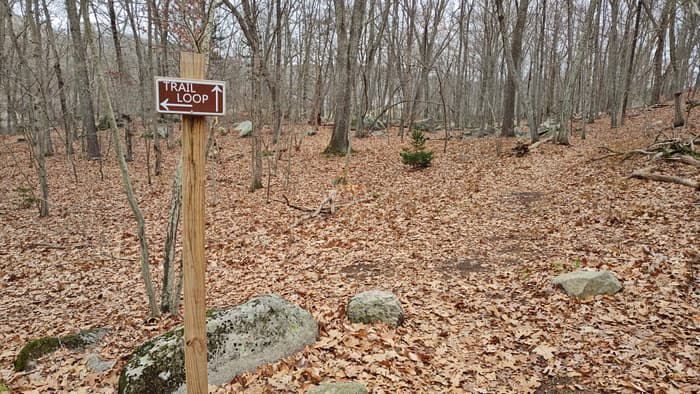 Start/end of the loop