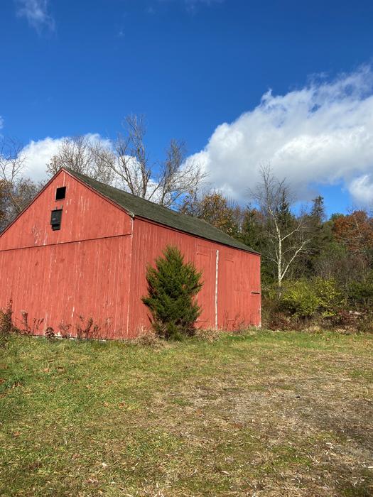 (Credit: Wyndham Land Trust)