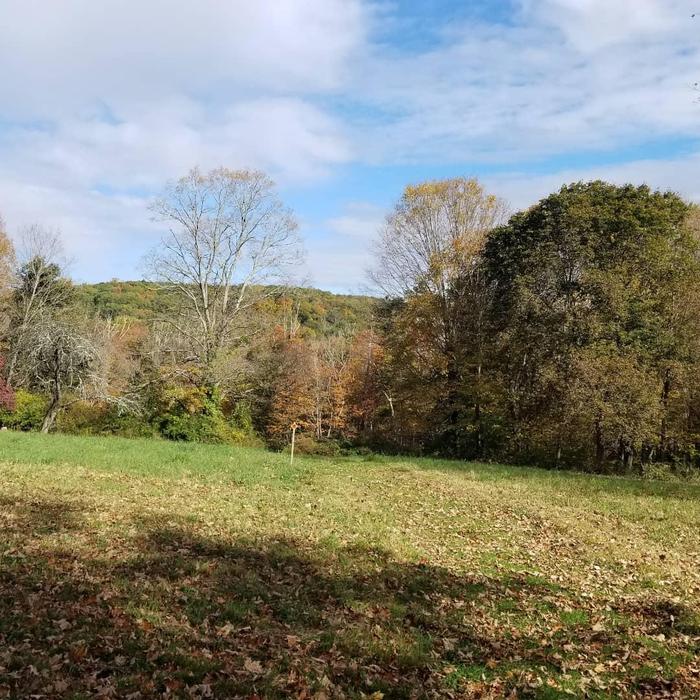 Ives Trail and Greenway