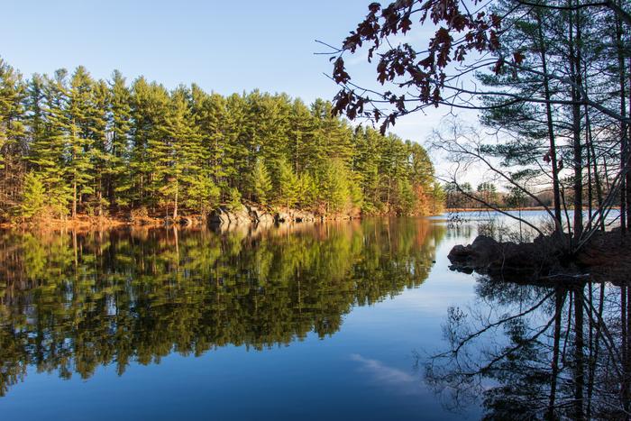 Maltby Lakes (Credit: RWA)