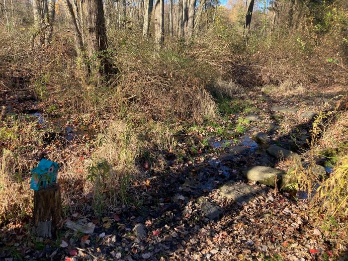 (Credit: Trail Finder staff/ AK)