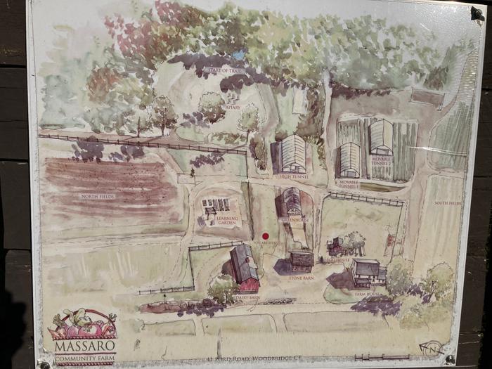 Farm overview plan (Credit: Trail Finder staff/ AK)