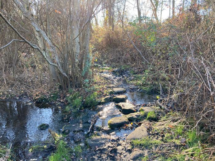 Stepping stones (Credit: Trail Finder staff/ AK)