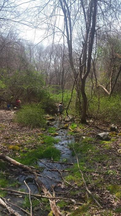 Ansonia Nature Center Trails