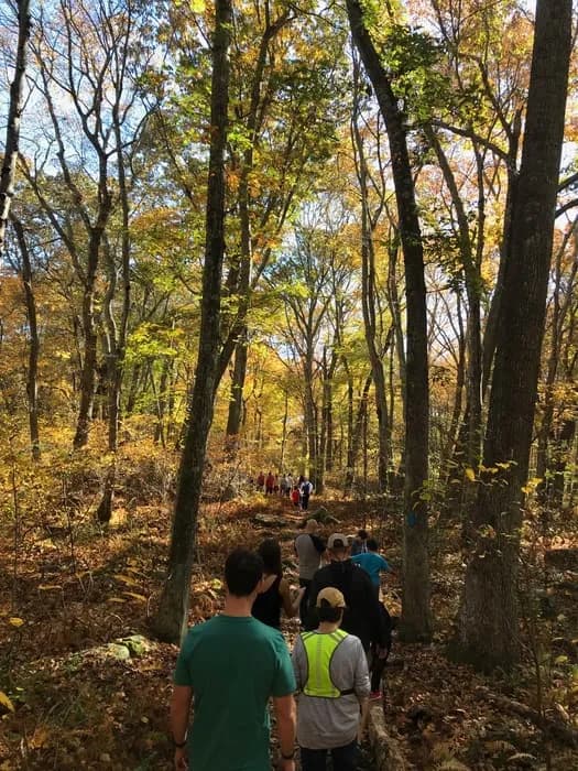 Merritt Family Forest