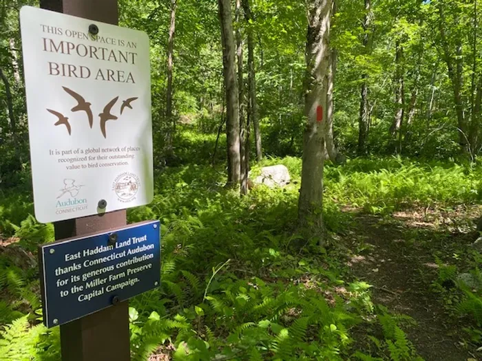 The beginning of Red Trail- Miller Farm (Credit: East Haddam Land Trust)