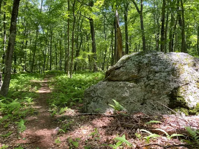 Boulder along the Miller Farm Blue Trail (Credit: East Haddam Land Trust)