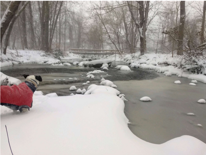 Millrace in winter (Credit: S. McCoid)