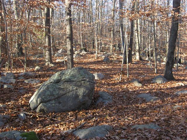 Mortimer Wright Preserve