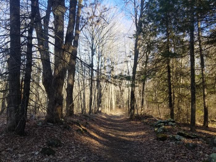 (Credit: Laura Kelly)