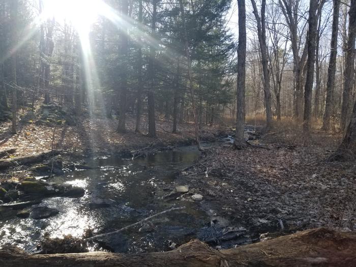 (Credit: Laura Kelly)