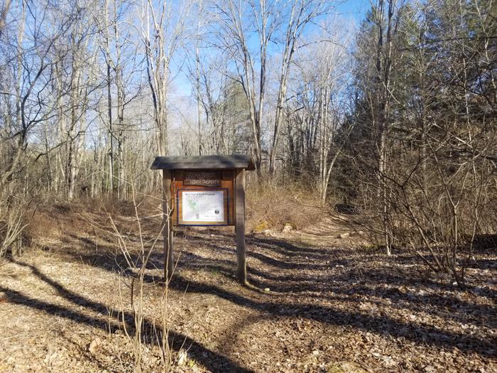 (Credit: Laura Kelly)