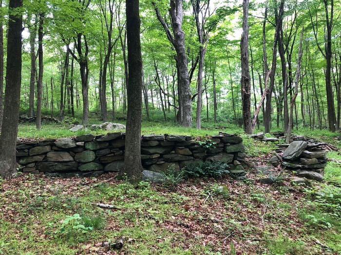 Mount Archer Preserve Ruins