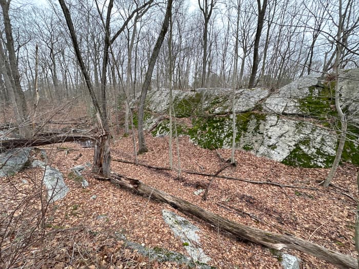Greenwich Audubon Center