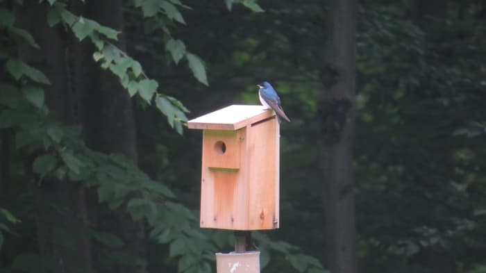 Greenwich Audubon Center