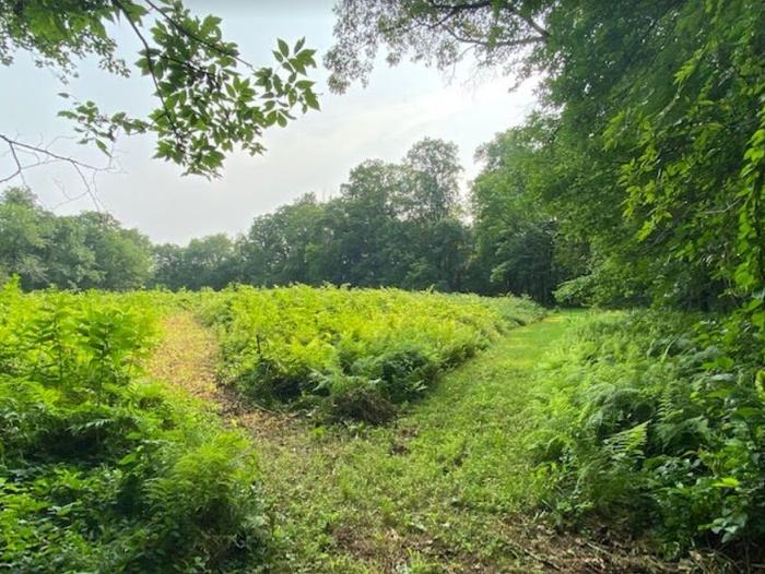 Olde Field Preserve