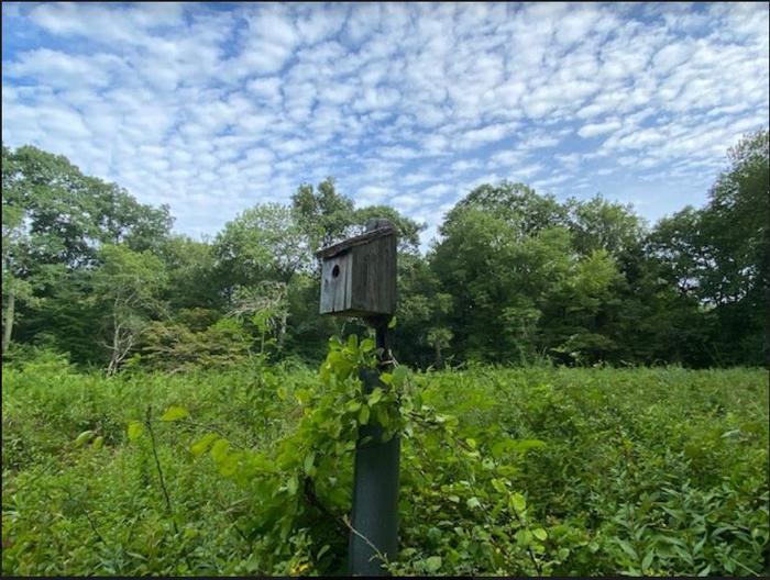 Olde Field Preserve