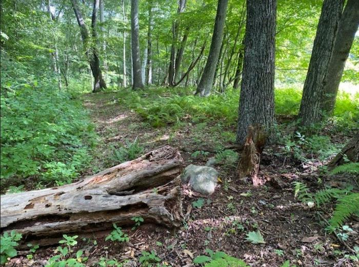 Olde Field Preserve