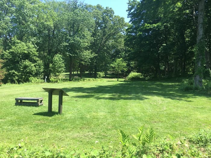 View from the shoreline looking east across the Osage lawn.