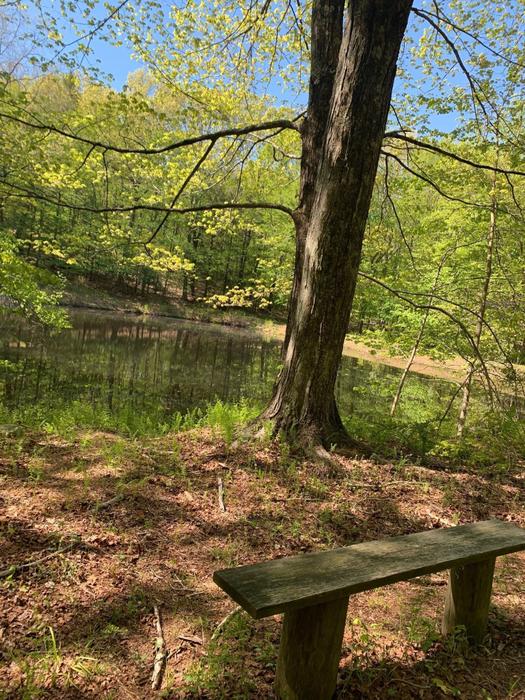 Owen's Mere Preserve