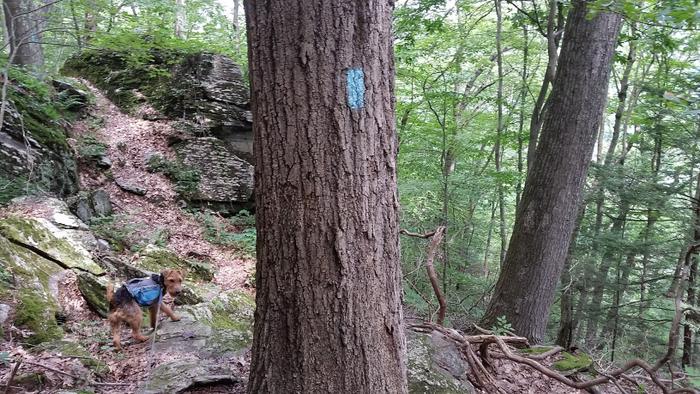 (Credit: Teresa Gallagher)