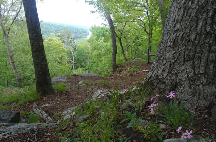 (Credit: Teresa Gallagher)