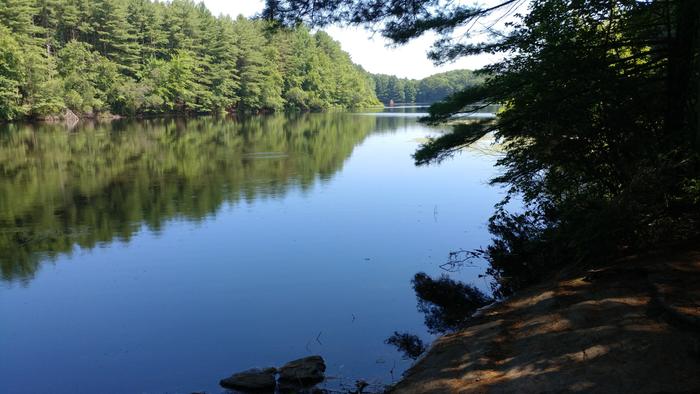 (Credit: Teresa Gallagher)