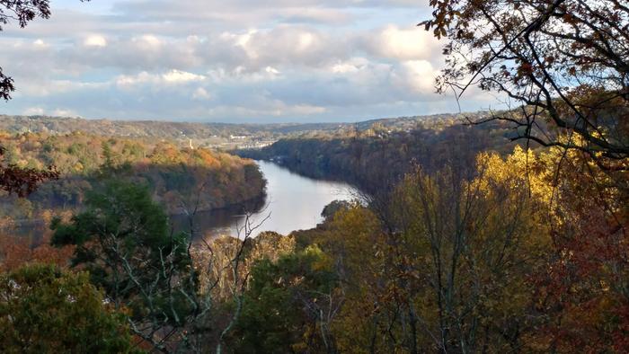 (Credit: Teresa Gallagher)