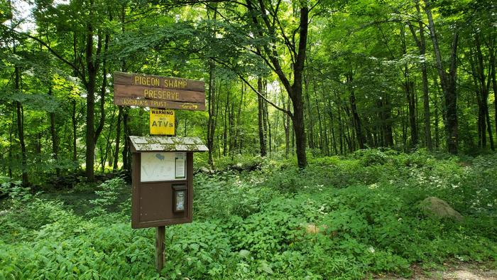Pigeon Swamp Preserve