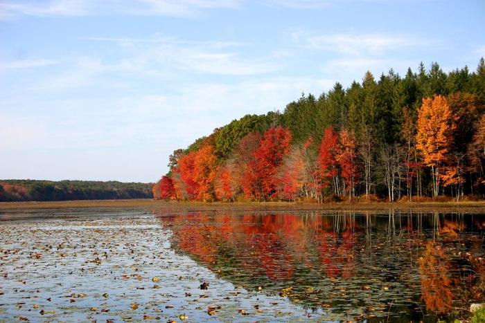 Pine Acres Pond (Credit: CFPA)