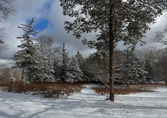 Pleasant Valley Preserve Field