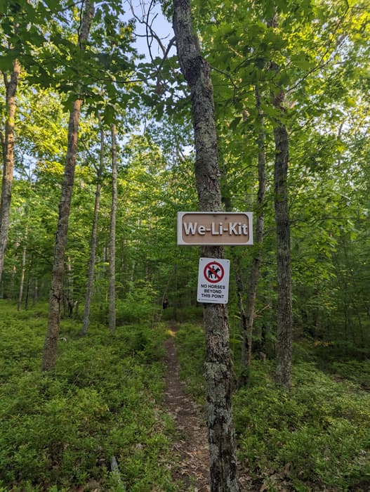 Pomfret Forest